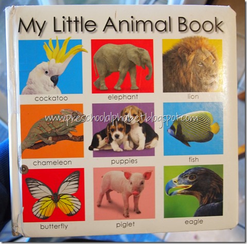 Preschool Alphabet: A is for Animals