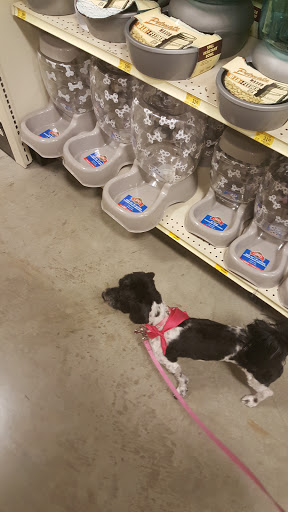 Pet Supply Store «PetSmart», reviews and photos, 2140 17th St, Santa Ana, CA 92705, USA