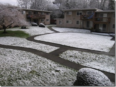 IMG_5350 Snow in Milwaukie, Oregon on January 25, 2009