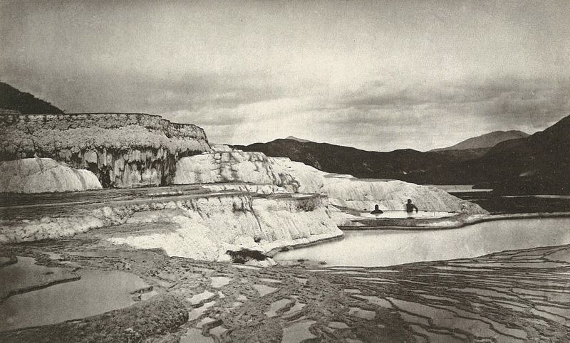 pink-and-white-terraces-7