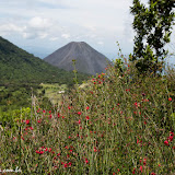 Vulcão Cerro verde e Izabal - Rumo ao vulcão Santa Ana, El Salvador