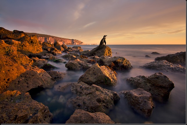 Dippy at Alum Bay