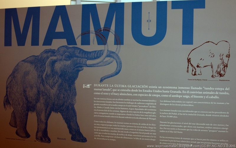 [Mamut1_1%255B2%255D.jpg]