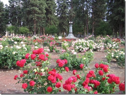 IMG_6529 Sorosis Park Rose Garden in The Dalles, Oregon on June 10, 2009