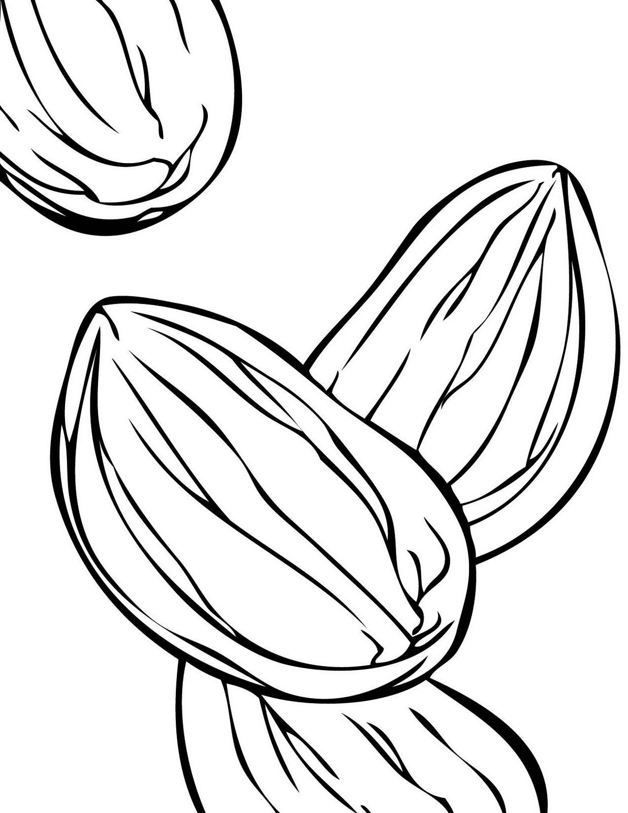 almonds coloring page