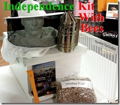 Independence Kit 2016a