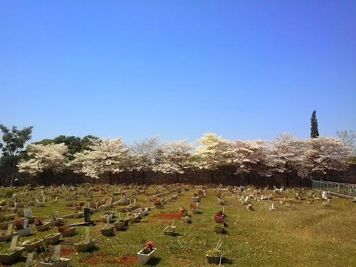 Cemitério Parque de Animais - Paraíso do Amigo, Estrada Municipal, 1301 - Jardim Sao Jorge, Piracicaba - SP, 13402-600, Brasil, Cemitrio_de_Animais, estado Sao Paulo