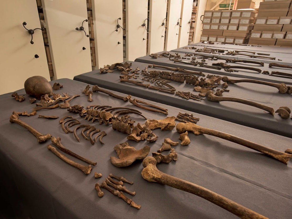 DNA of bacteria responsible for London Great Plague of 1665 identified DNA of bacteria responsible for London Great Plague of 1665 identified