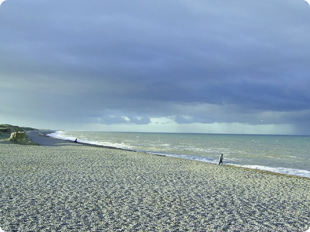 norfolk coast 039