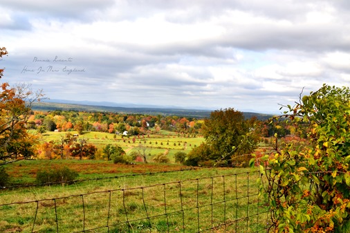 fall gibbet hill landscape