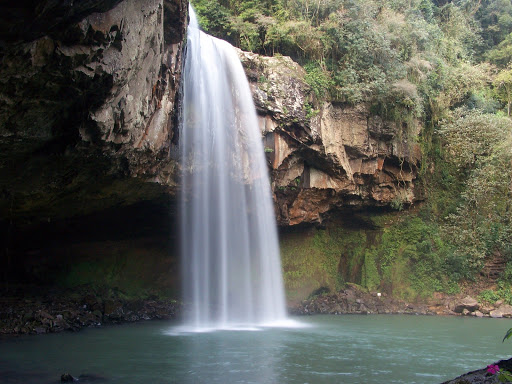 Reserva Ecológica Família Lima, Estrada Picada Verão, 7000 - Picada Verão, Sapiranga - RS, 93800-000, Brasil, Atracao_Turistica, estado Rio Grande do Sul