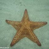 Playa Estrella - Bocas del Toro, Panamá