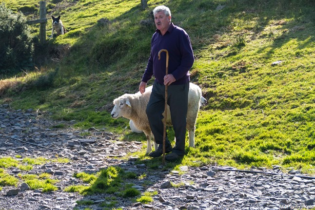 The Ring of Kerry (1 of 1)-26