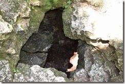 View down Peace Cave 2