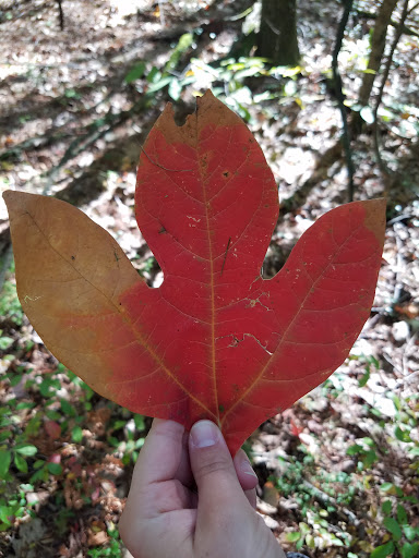 Nature Preserve «Summer Star Wildlife Sanctuary», reviews and photos, 690 Linden St, Boylston, MA 01505, USA