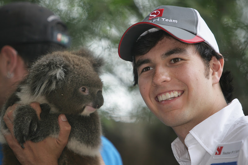 Серхио Перес с коалой в мельбурнском зоопарке перед Гран-при Австралии 2012