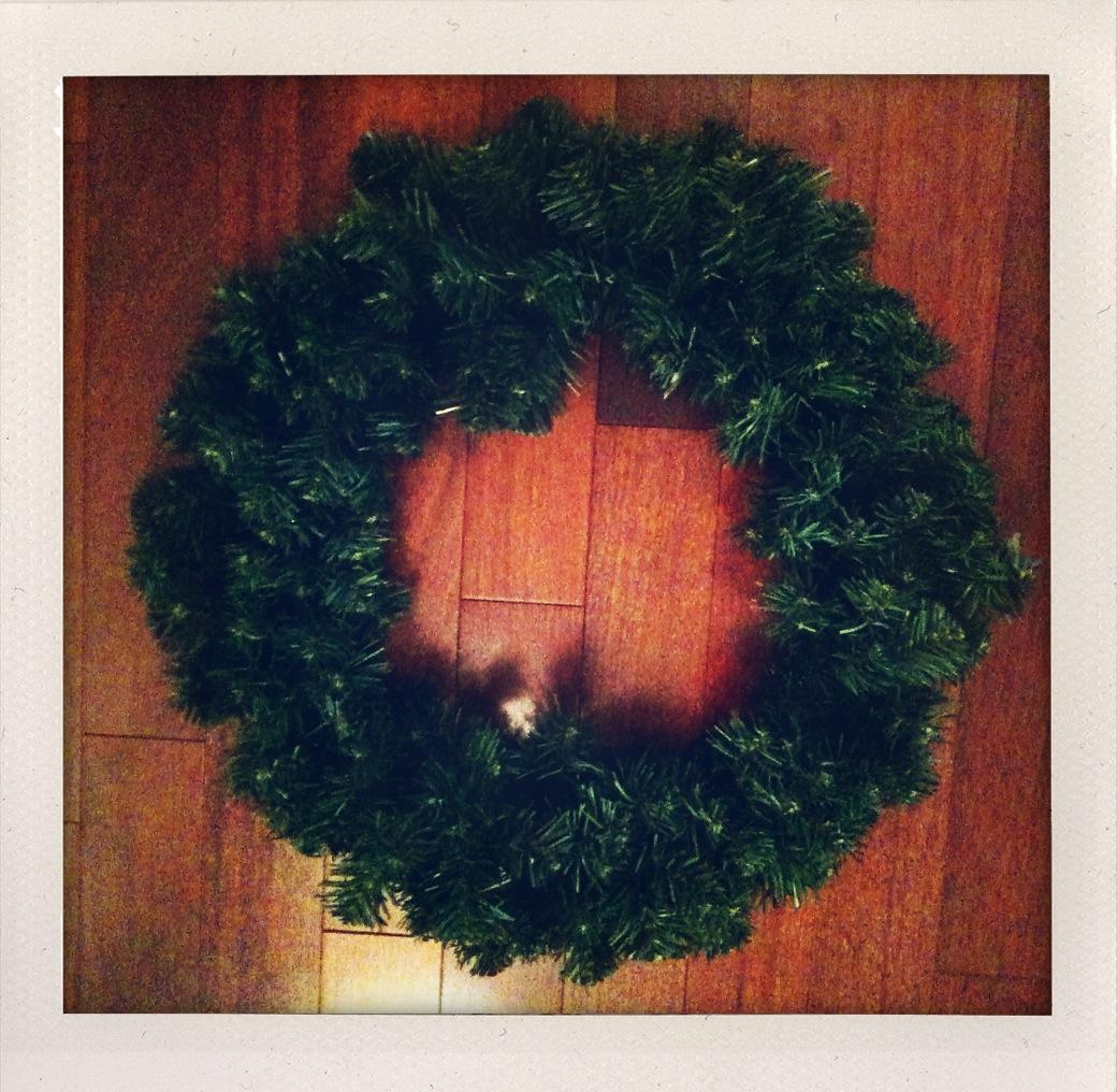 DIY - Christmas Wreaths