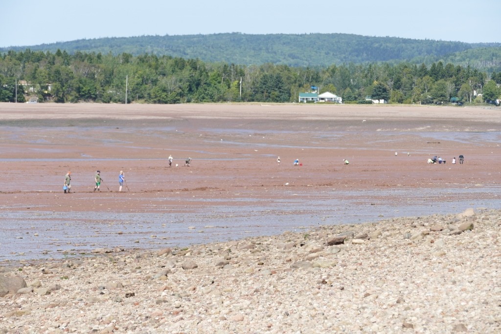 [ca_parrsboro_5_islands_pp6%255B4%255D.jpg]