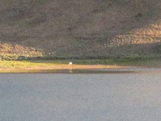 Ghost Horse Mackay Reservoir Idaho