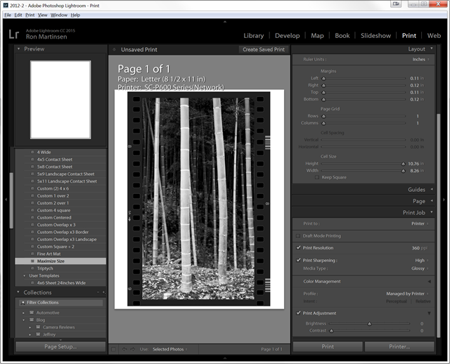 Lightroom 2015 with Advanced Black and White on Metallic