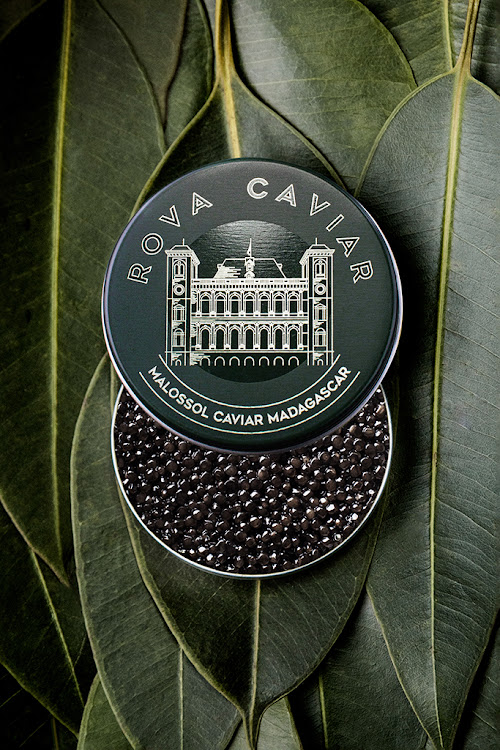 Rova Caviar.