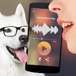 Translator for dogs Simulator Apk