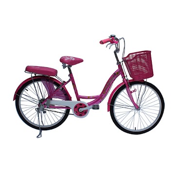 Xe Đạp Thời Trang SMNBike WR 24-01 24inch (11+ Tuổi)