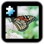 Jigsaw Puzzle: Butterfly Apk