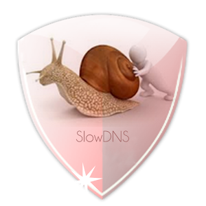 VPN Over DNS Tunnel : SlowDNS 55 apk