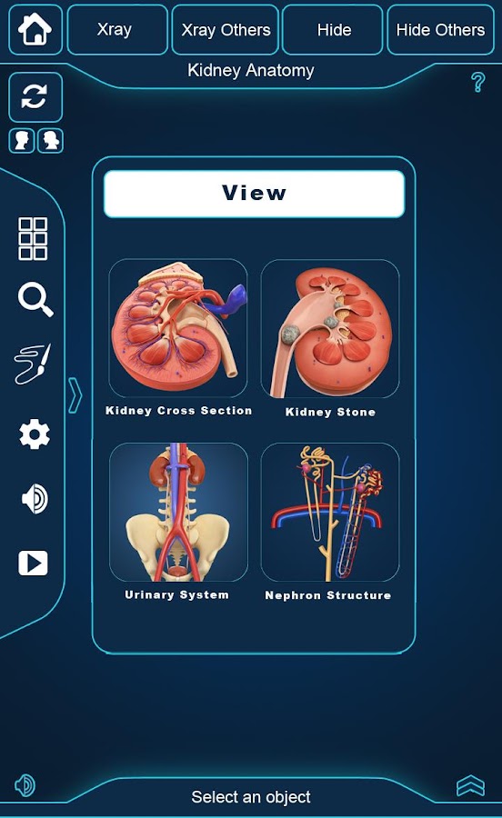 Kidney Anatomy — приложение на Android
