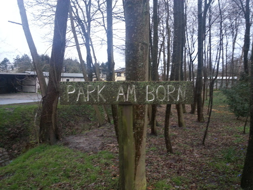 Park Am Born