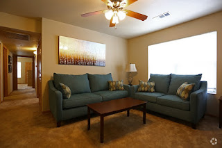 Coles Crossing Apartments Livingroom