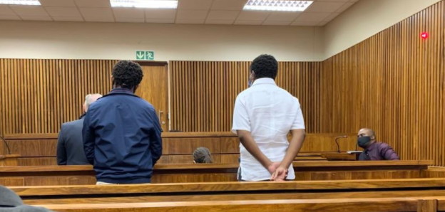 EFF MP Mbuyiseni Ndlozi and party leader Julius Malema appeared in the Randburg magistrate's court on Monday.