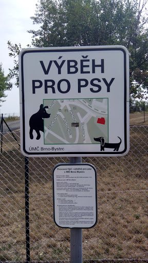 Psi Vybeh Bystrc
