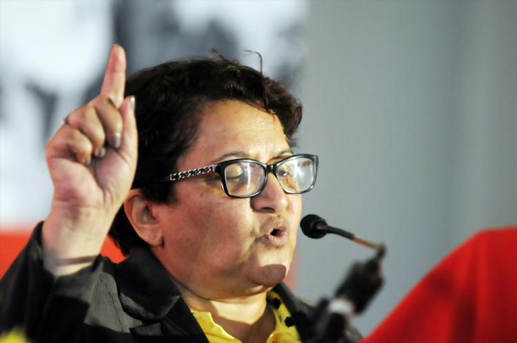 ANC deputy secretary-general Jessie Duarte denied that the party rushed to make a decision on land reform because the EFF had dominated the public discourse around it.