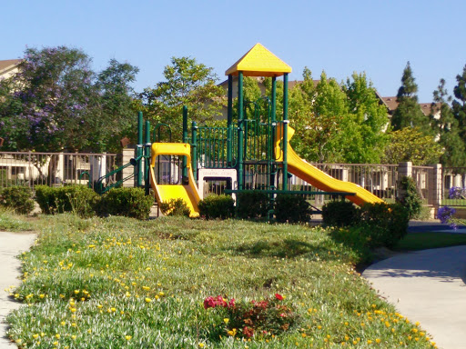 Community Playground