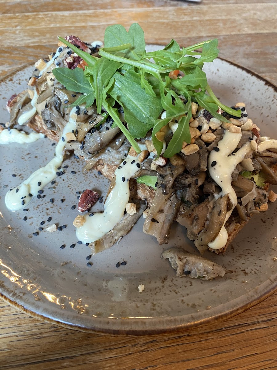 Oyster Mushroom Sandwich on GF bread!