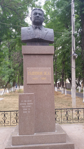 Tashenov