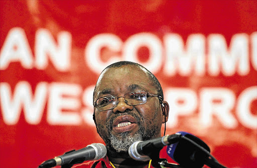 ANC secretary-general Gwede Mantashe. File photo.