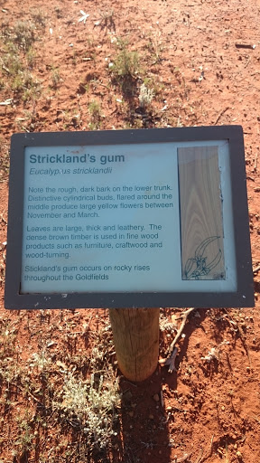 Strickland's Gum