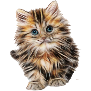 Download Cat breeds For PC Windows and Mac