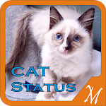 Funny Cat Status Pictures Apk