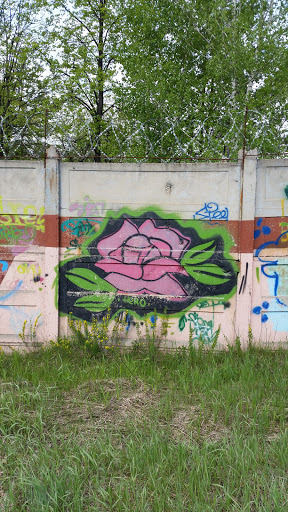 Граффити Роза