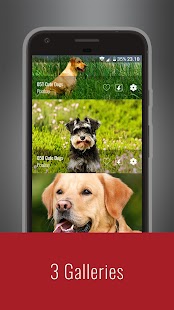 Cute dogs Wallpapers Screenshot