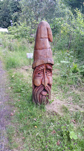 Wooden Dwarf