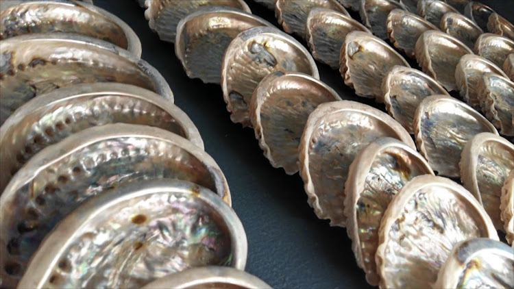 Two people were arrested for allegedly smuggling half a ton of abalone in Cape Town. File photo.