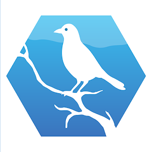 Download Fugler i nærmiljøet For PC Windows and Mac