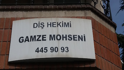 Diş Hekimi Gamze Mohseni