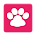 My Cat - Health & Care