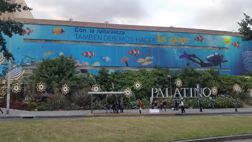 Palatino